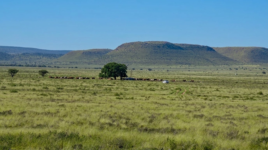 Commercial Property for Sale in Fauresmith Rural Free State